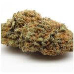 Шишки AK47  (Гидропоника, Бошка) VHQ в Каменске-Шахтинском